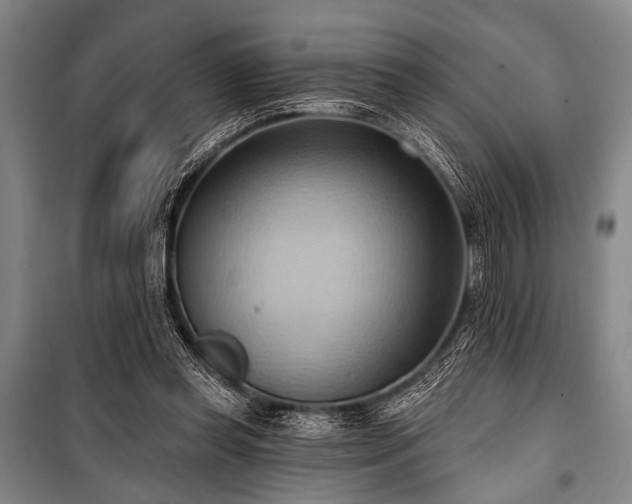 X0000101210349200806271420