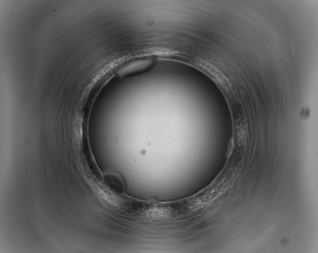 X0000101210350200806271420