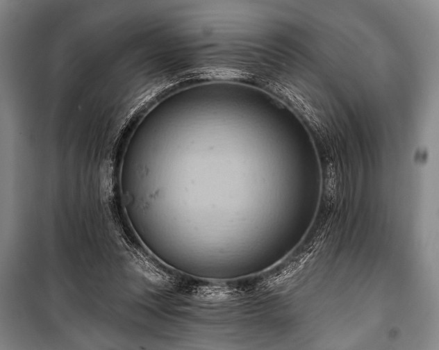 X0000101210351200806271420