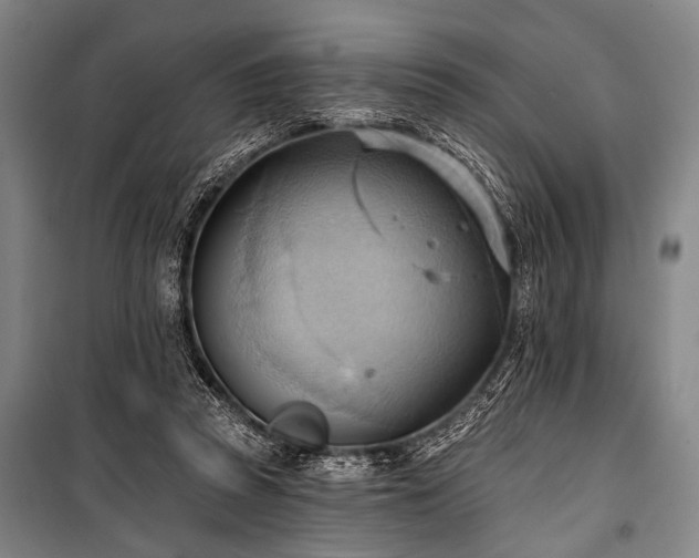 X0000101210353200806271420