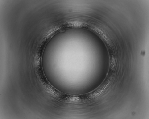 X0000101210355200806271420