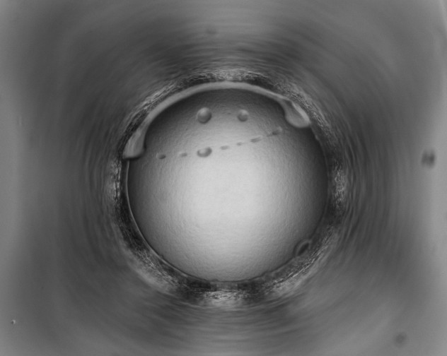 X0000101210356200806271420