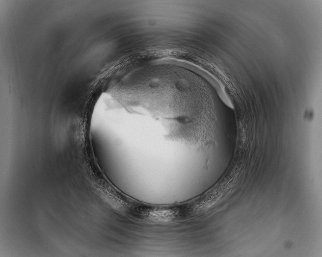 X0000101210357200806271420