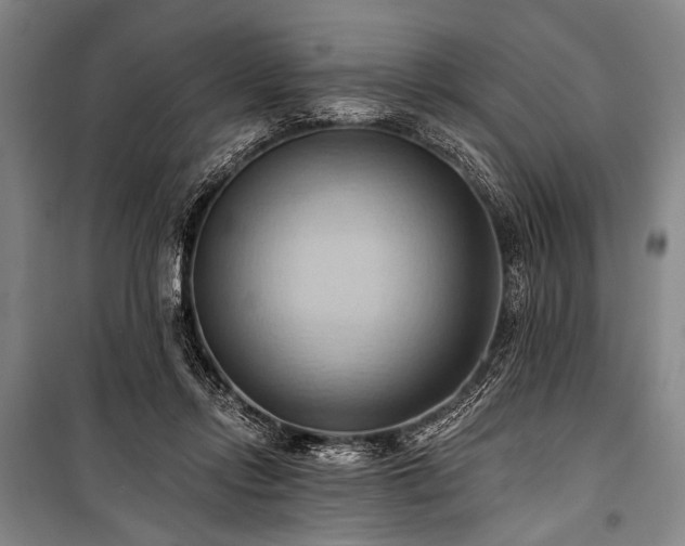 X0000101210358200806271420