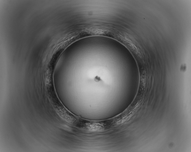 X0000101210359200806271420