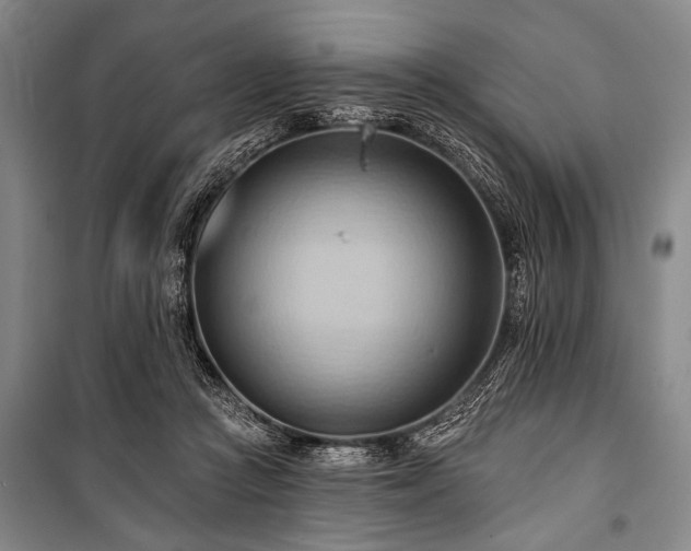 X0000101210361200806271420