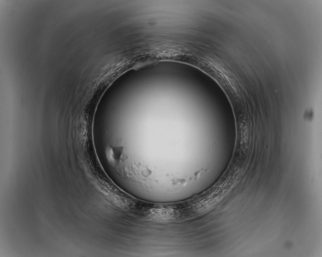 X0000101210362200806271420