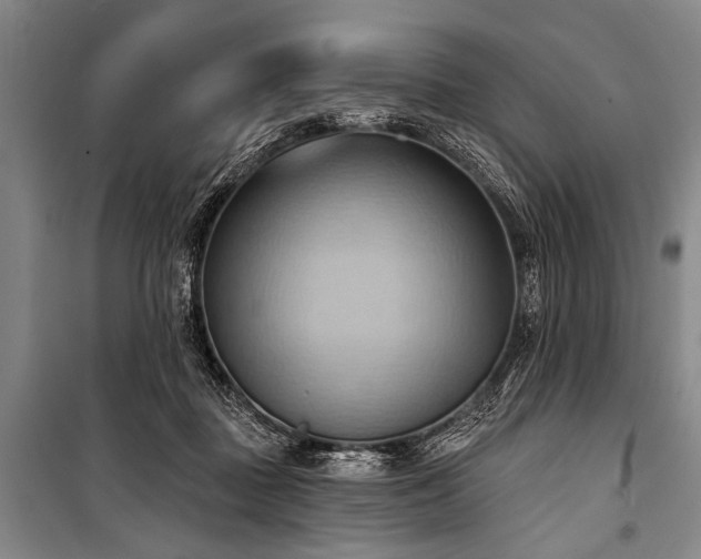 X0000101210363200806271421