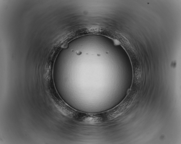 X0000101210364200806271421