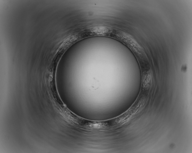 X0000101210365200806271421