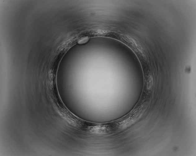 X0000101210366200806271421