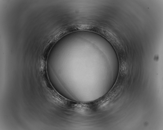 X0000101210367200806271421