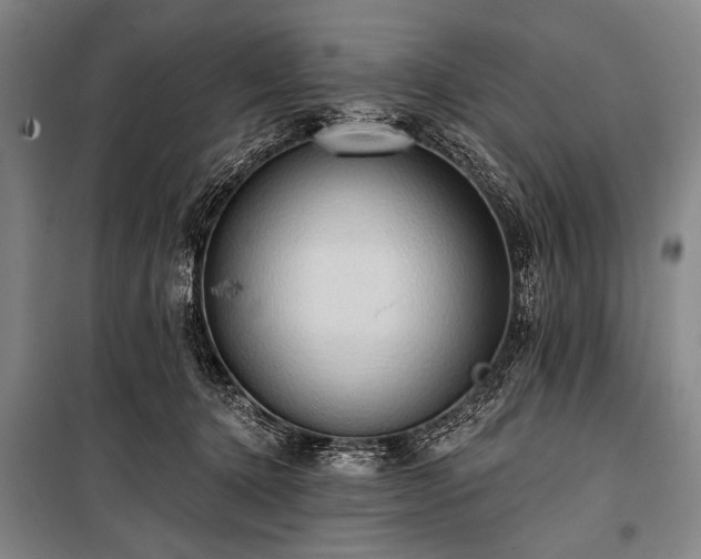 X0000101210368200806271421