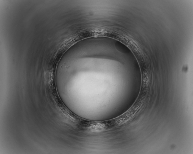 X0000101210369200806271421