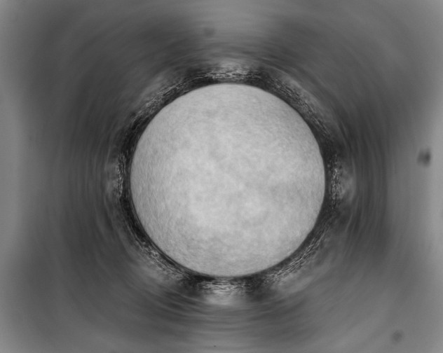 X0000101210370200806271421