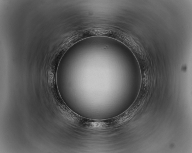 X0000101210371200806271421