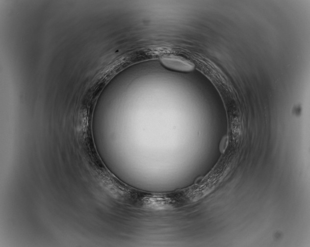 X0000101210372200806271421