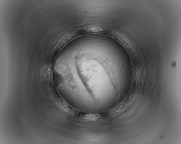 X0000101210373200806271421