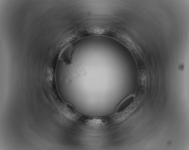 X0000101210374200806271421