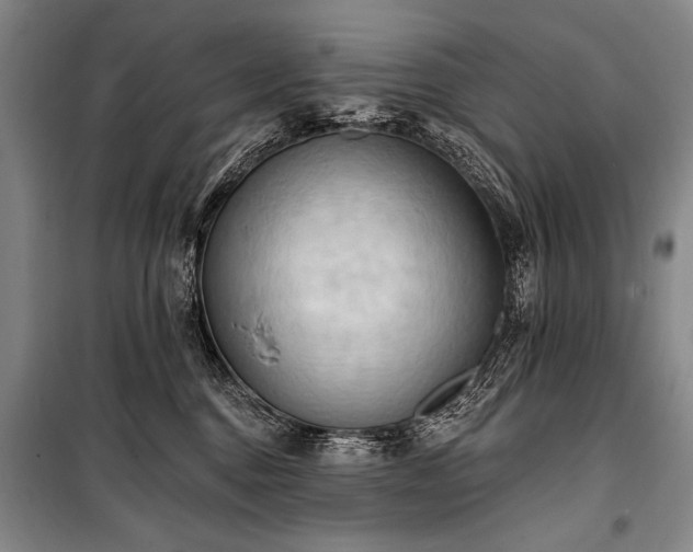 X0000101210376200806271421