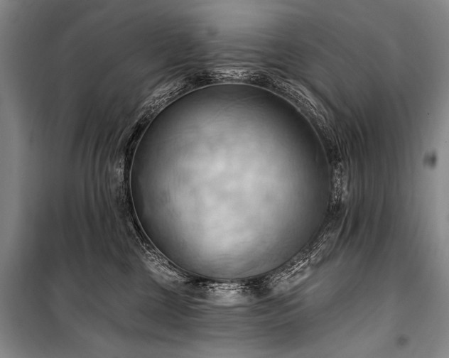 X0000101210377200806271421