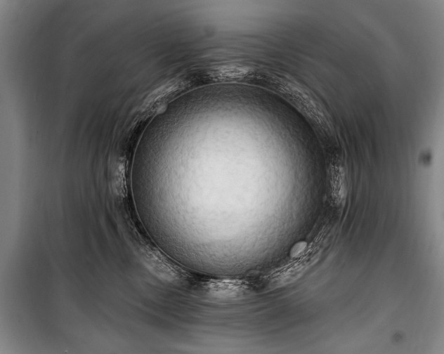 X0000101210378200806271421