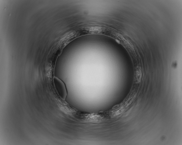 X0000101210379200806271421