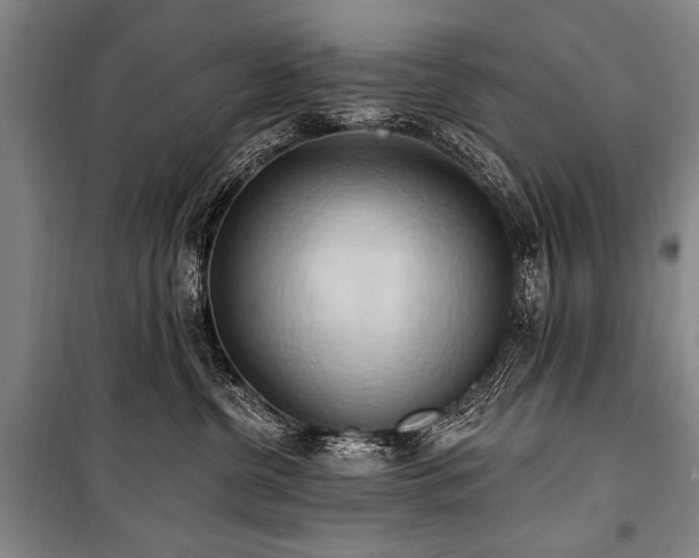 X0000101210380200806271421