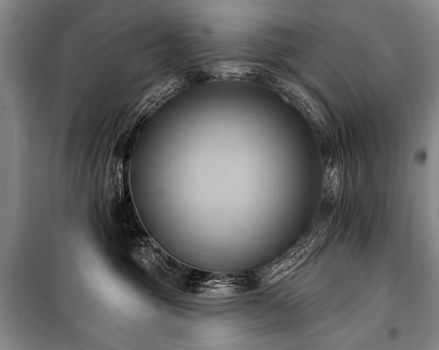 X0000101210381200806271421