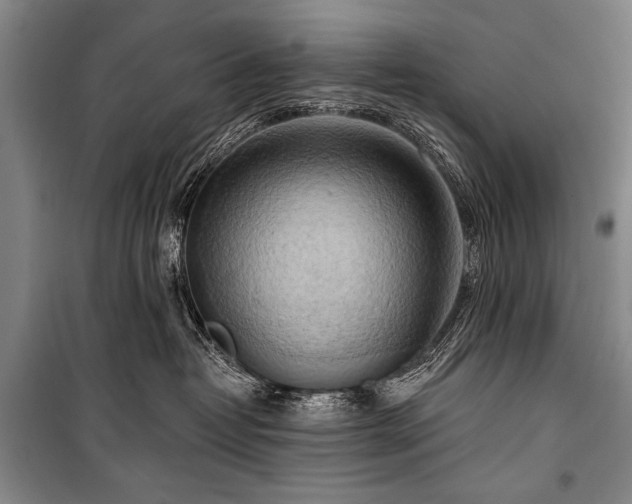 X0000101210382200806271421