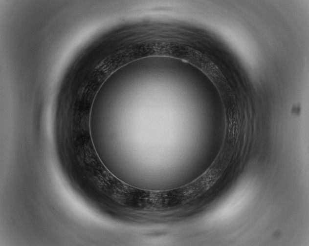 X0000101210383200806271421