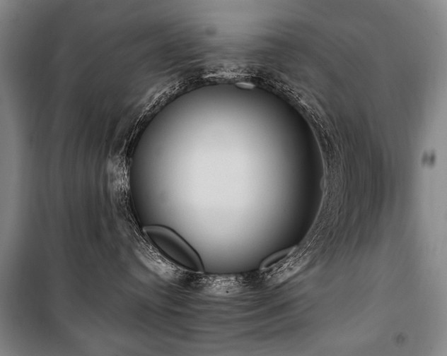 X0000101210384200806271421