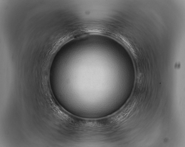 X0000101210385200806271420