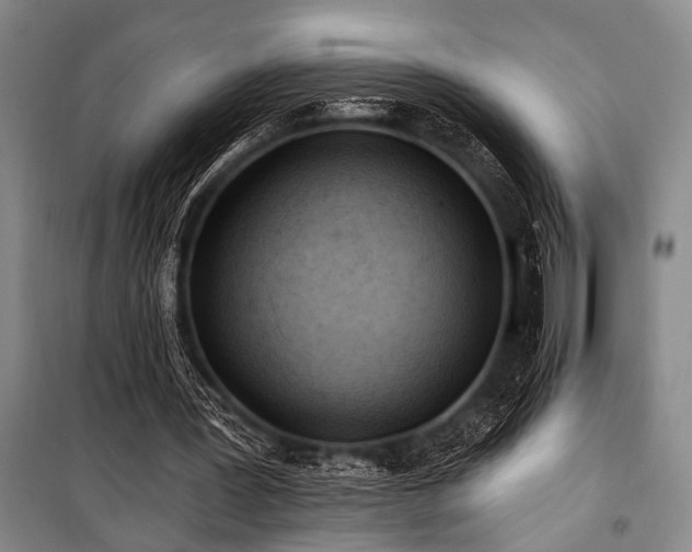 X0000101210387200806271420