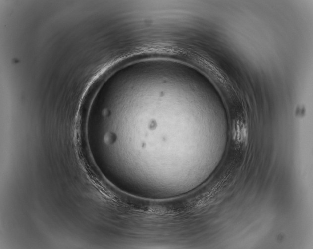 X0000101210388200806271420