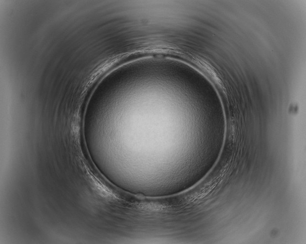 X0000101210389200806271420