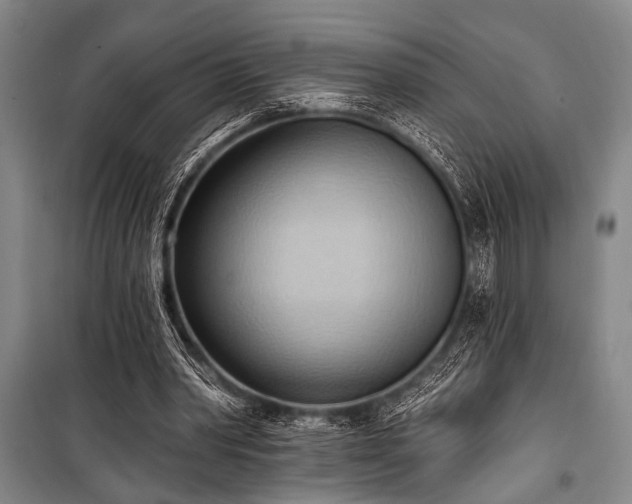 X0000101210390200806271420