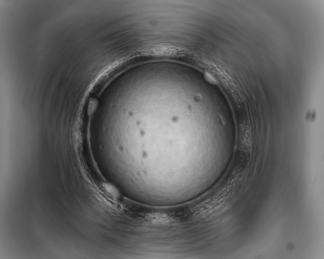 X0000101210392200806271420