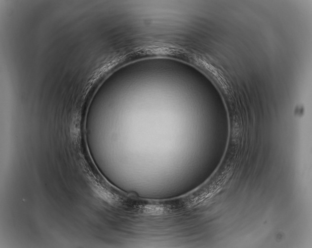 X0000101210394200806271420