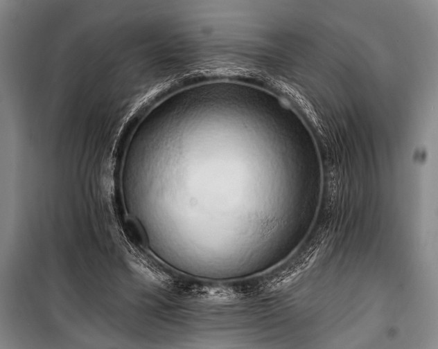 X0000101210395200806271420