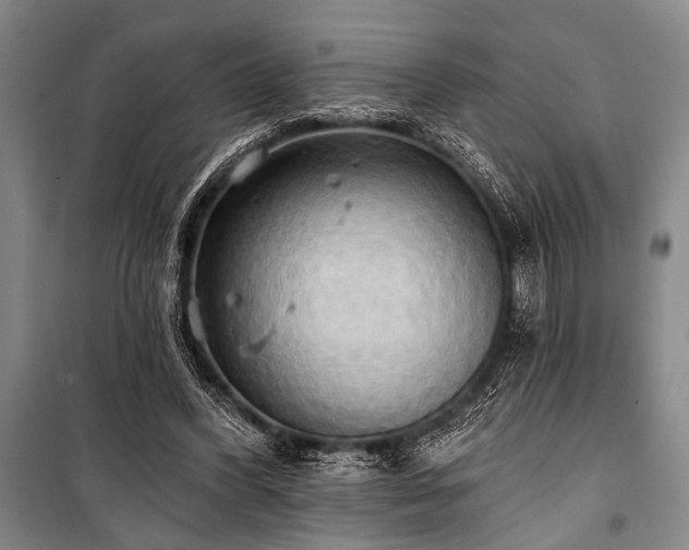 X0000101210396200806271420