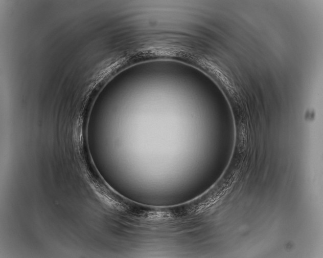 X0000101210398200806271420