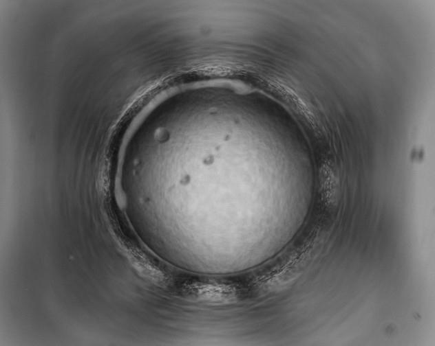 X0000101210400200806271420