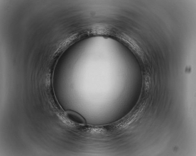 X0000101210401200806271420