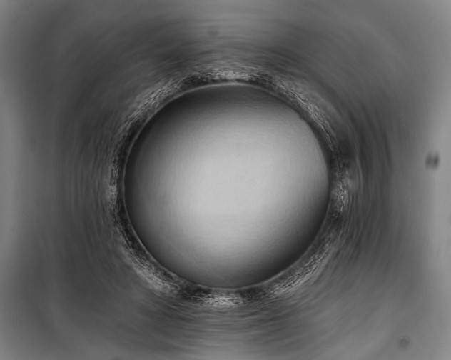 X0000101210402200806271420