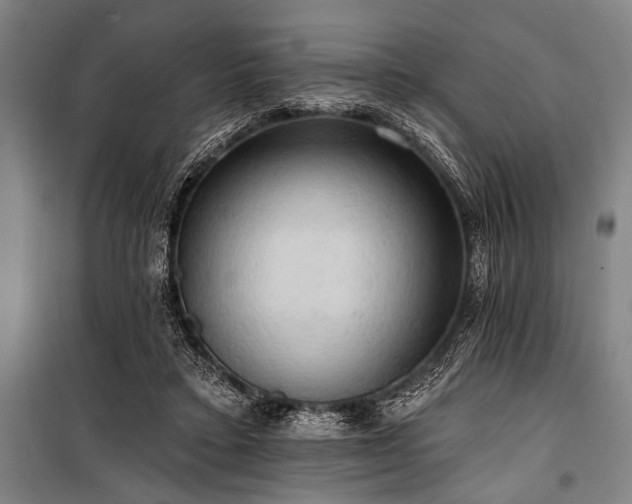 X0000101210403200806271420