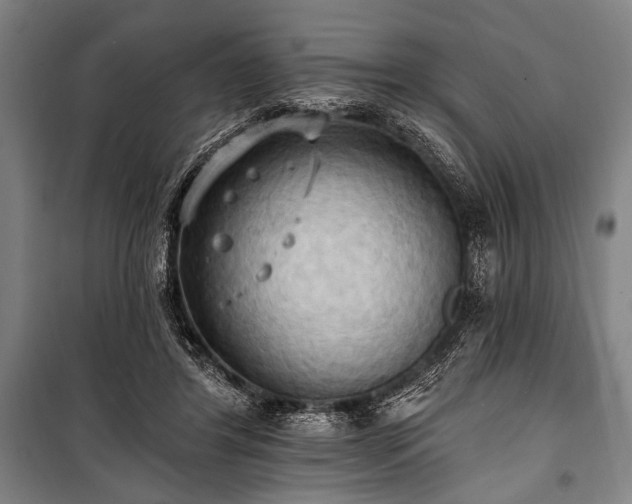 X0000101210404200806271420