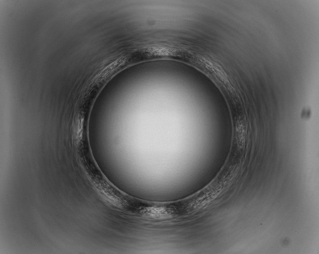 X0000101210406200806271420