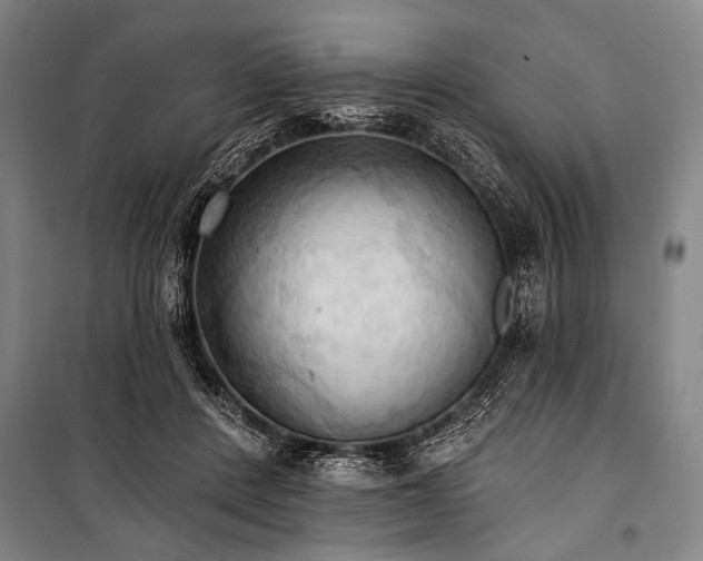 X0000101210408200806271420