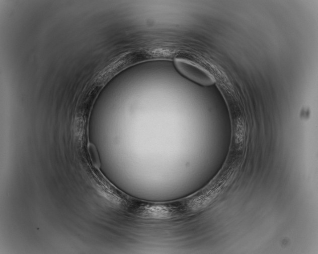 X0000101210409200806271420